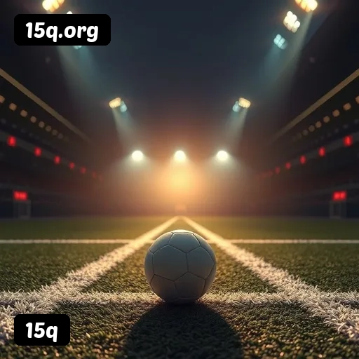 Níveis do programa VIP da 15q